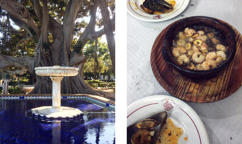 Left: an ornate water fountain in front of a large tree; Right: a portion of shrimp cooked in boiling oil and garlic