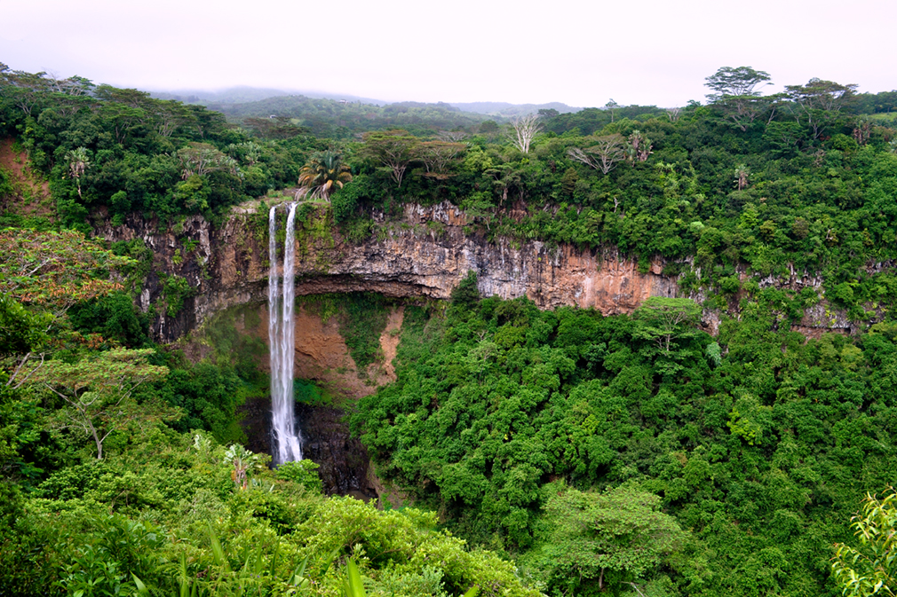 A thin waterfall amidst a lush, green gorge
