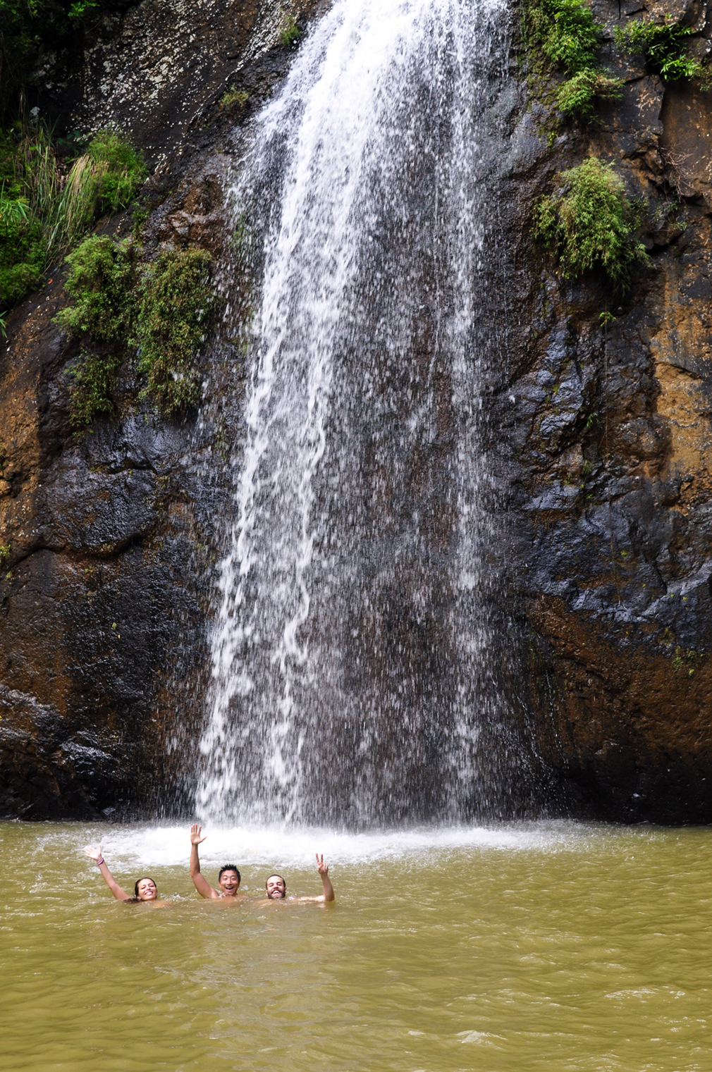 Friends swimming in the pool of a waterfall