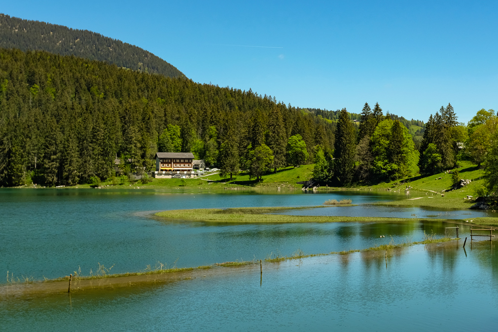 View of an alpine lake in high water