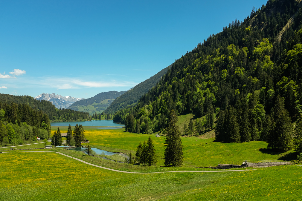 View of an alpine landscape with lake, forest, and mountains