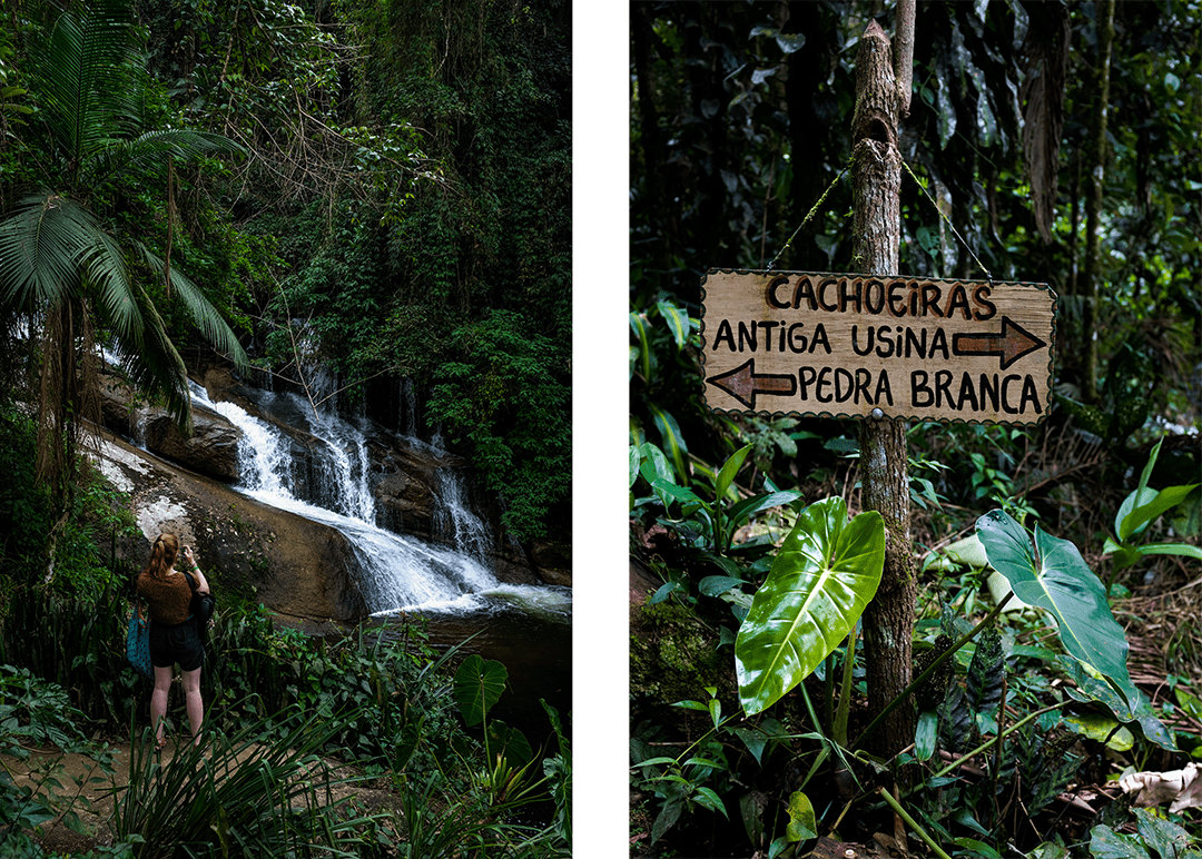 Scenes of a waterfall and the Brazilian jungle