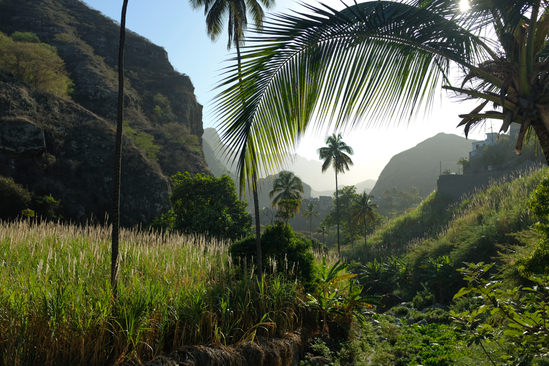 A lush green valley at sunset