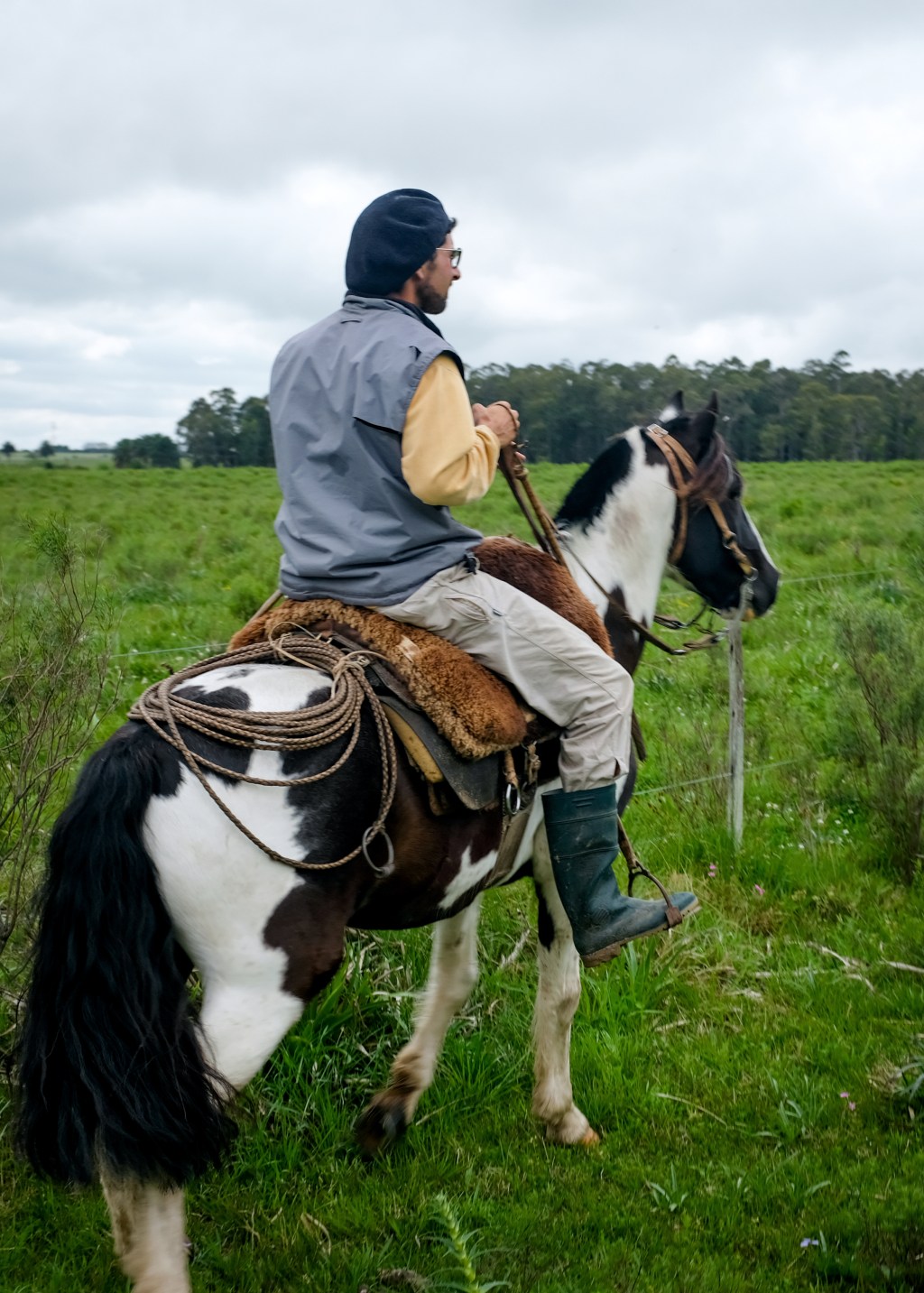 Chacras and Chivitos: Snapshots from Rural&nbsp;Uruguay