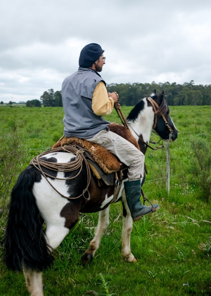 Gaucho riding a horse