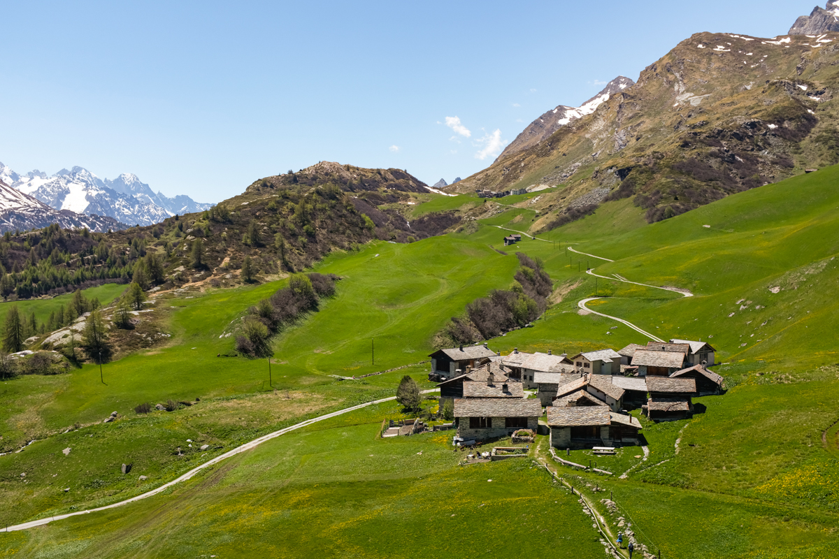 A small village in an alpine pasture