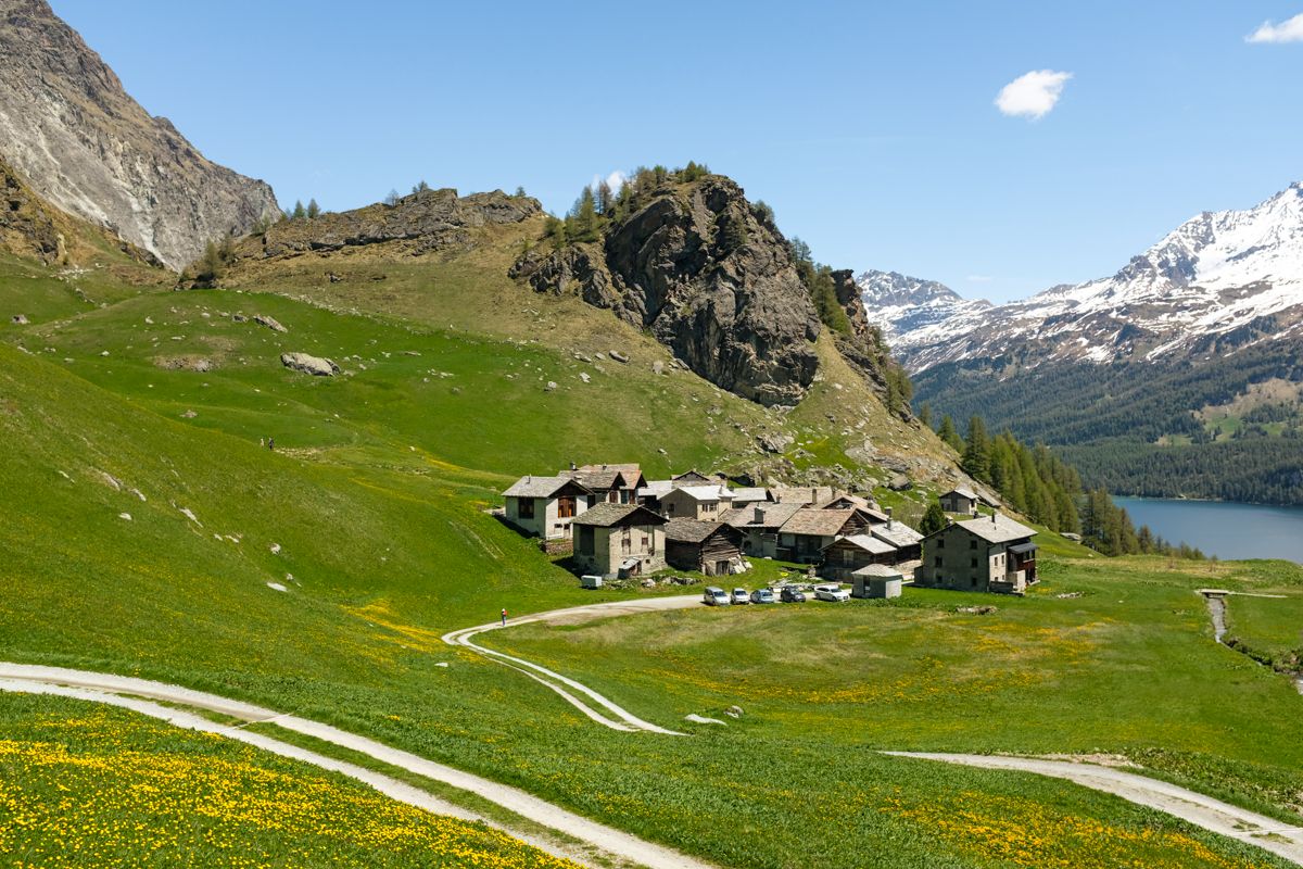 A small settlement in an alpine pasture