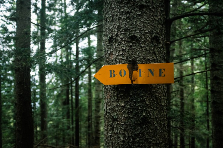 A bent waymarker affixed to a tree