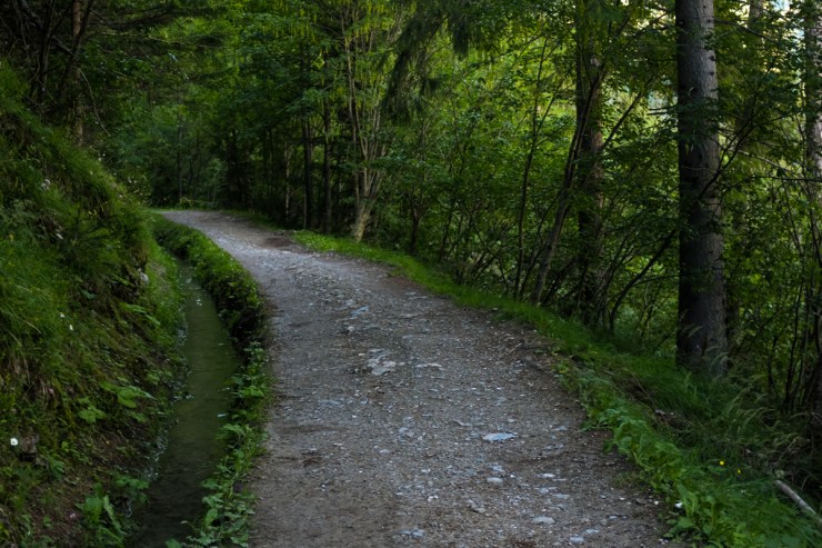 An irrigation channel next to a forest walking path