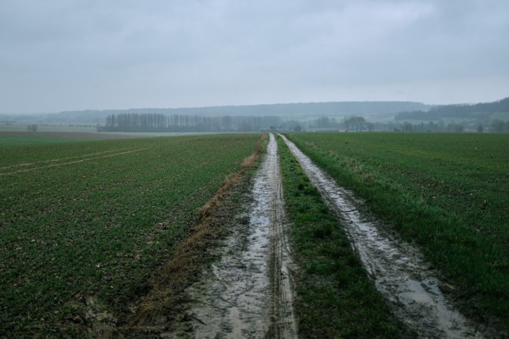 Muddy trails in a rainy pastoral landscape