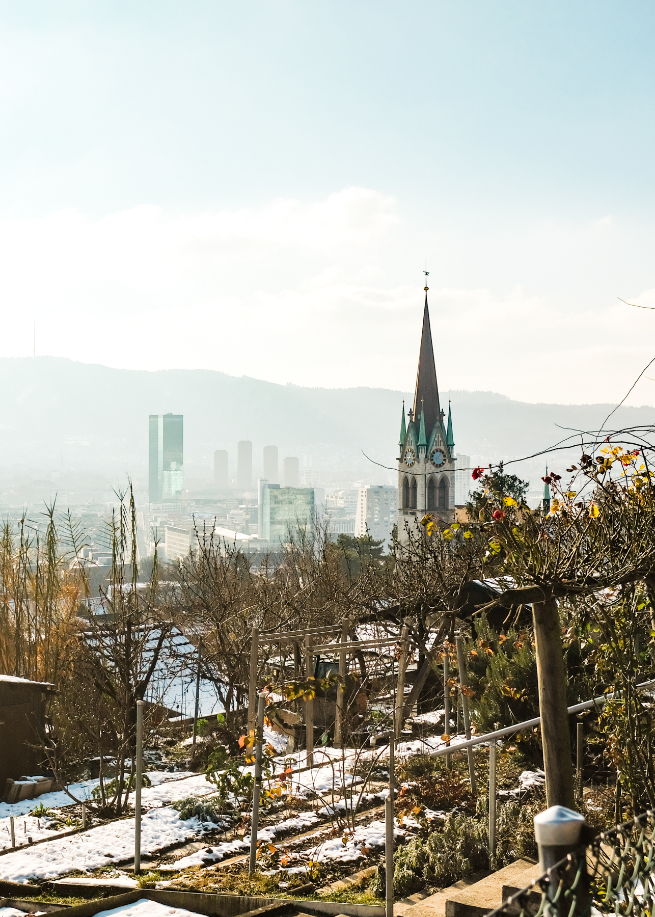 A viewpoint overlooking Zurich's Limmat Valley
