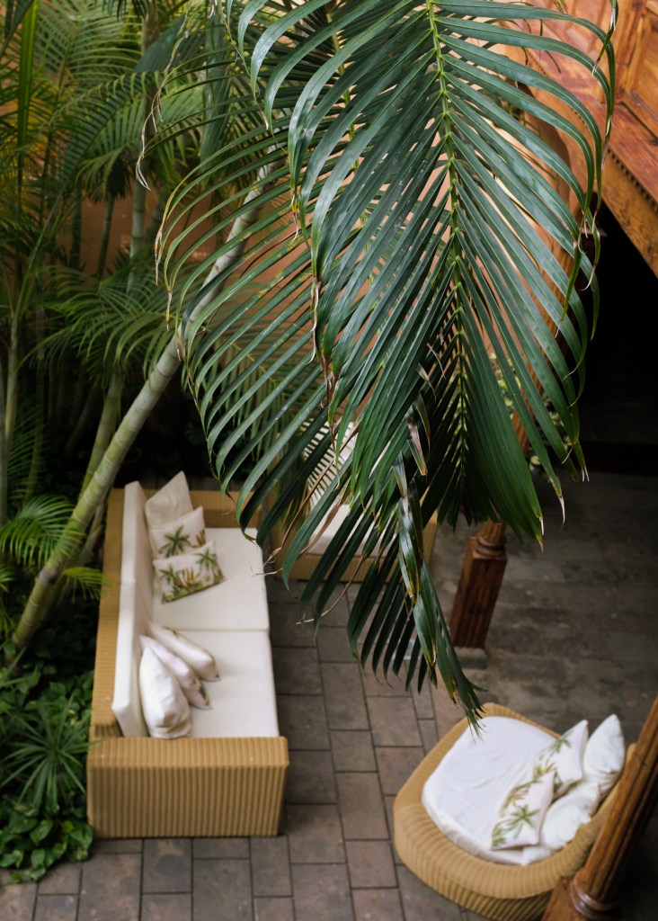 Palm leaves inside an inner hotel courtyard