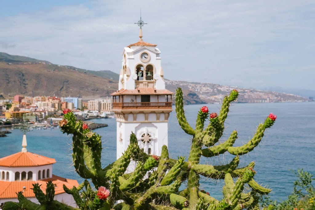 Flowering cactus in front of a nautical-themed bell tower