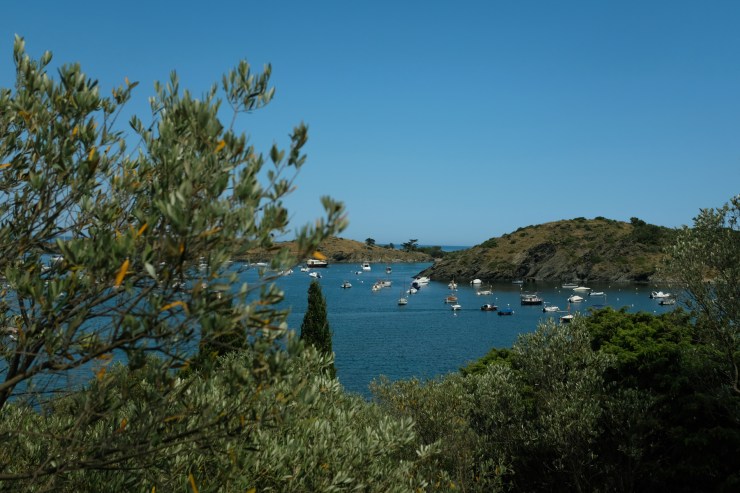 Anchored boats in a small tranquil bay